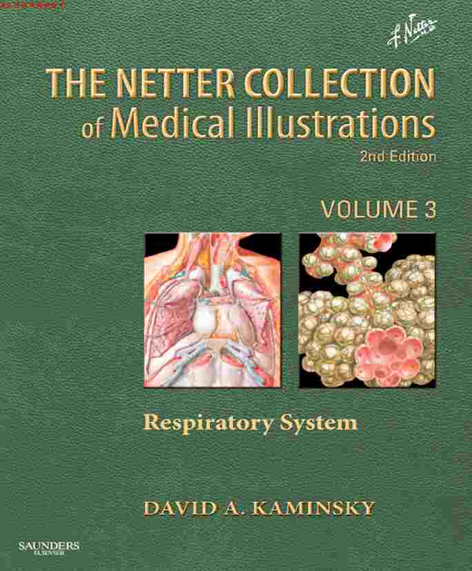 The Netter Collection of Medical Illustrations: Respiratory System 2nd Edition