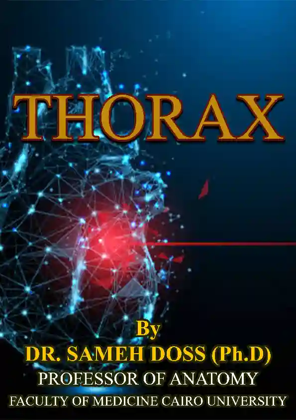 Thorax by R. SAMEH DOSS