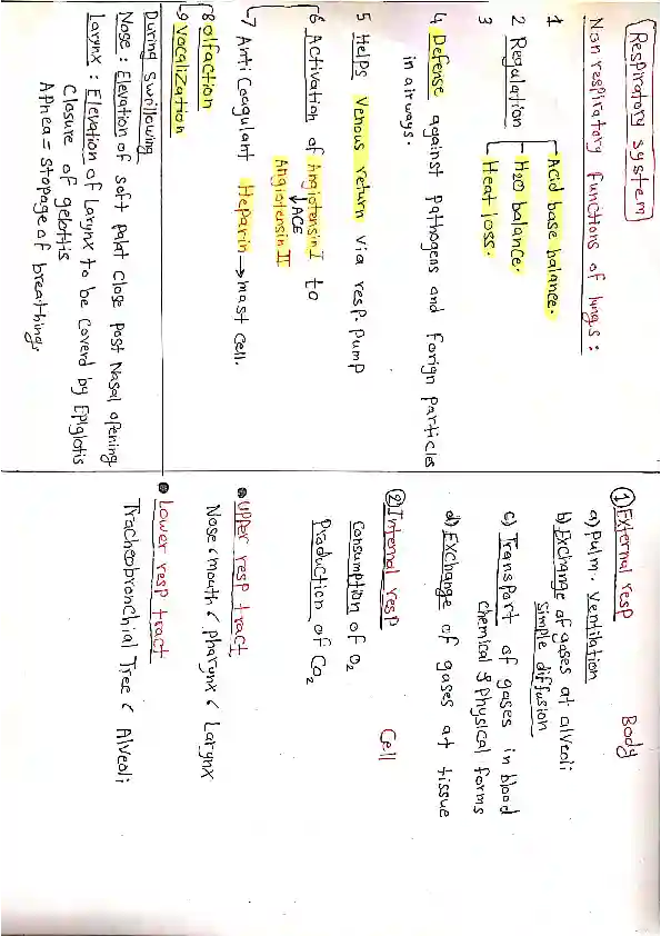 1. Function & Structure of Respiratory System (Dr. Nagi)