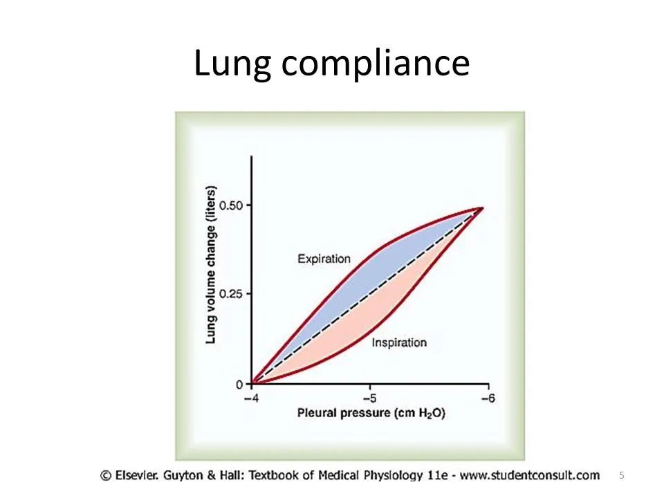 Lung Compliance